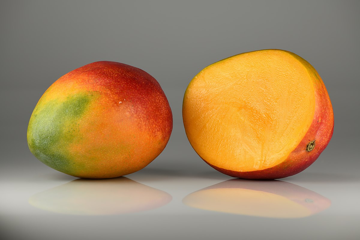 Mangue