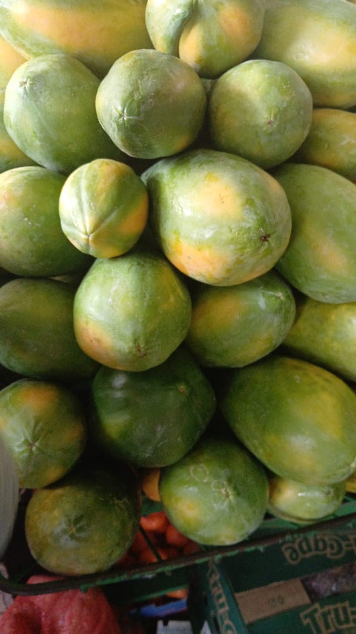 Mangue
