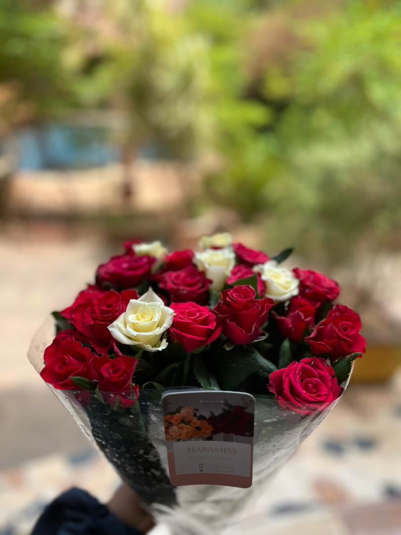 Roses 3