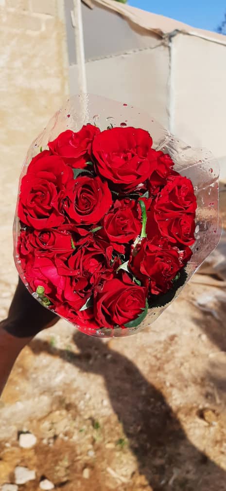 Roses 3
