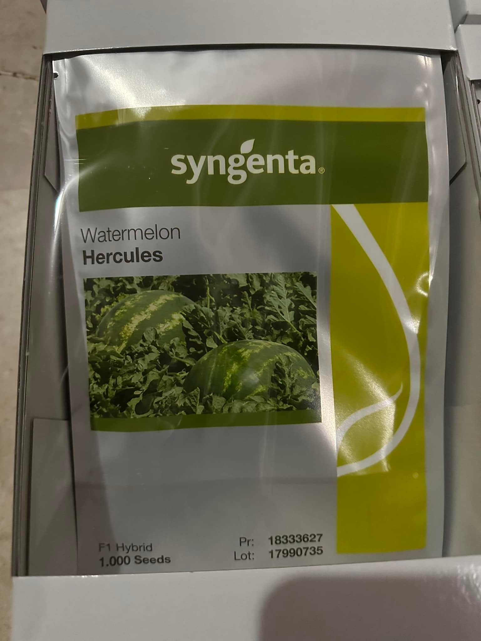 Semences